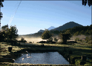 Trouch farming