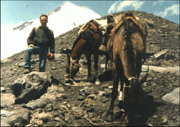 « El Carnero »